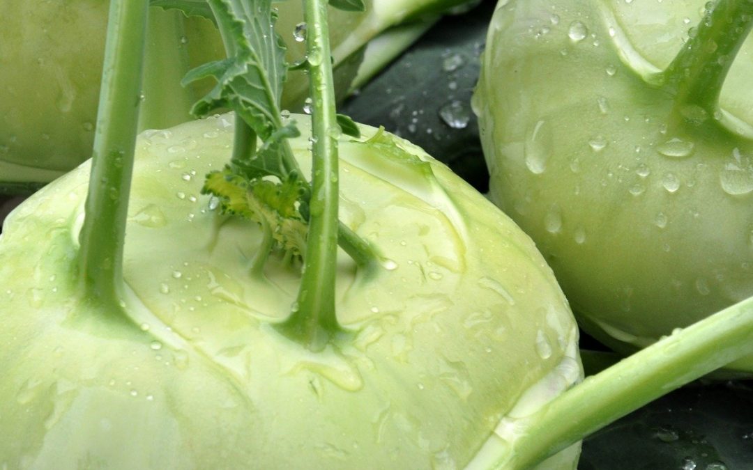 Kohlrabi