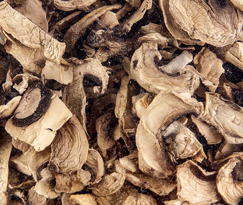 Champignons getrocknet